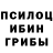 Галлюциногенные грибы мицелий Maya :3