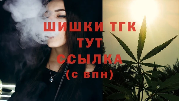 spice Аркадак