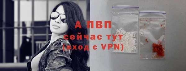 spice Аркадак