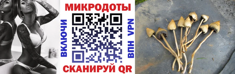 Псилоцибиновые грибы прущие грибы Усть-Джегута